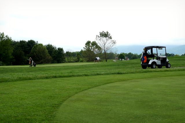 Golfers on a green course under a cloudy sky